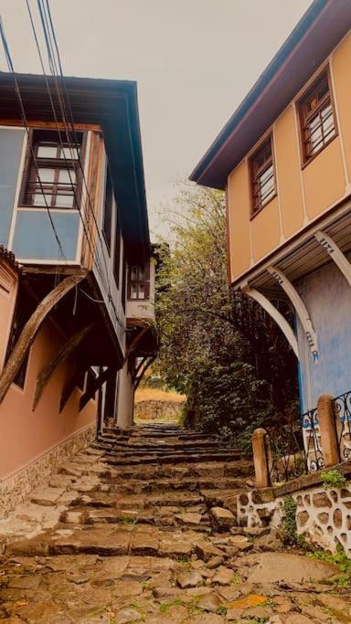 Elephant House Plovdiv Bagian luar foto